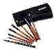 full image Professional prestige brush set