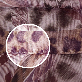 detail image4 Wild