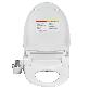 detail image3 Non-electric Bidet Q-1100