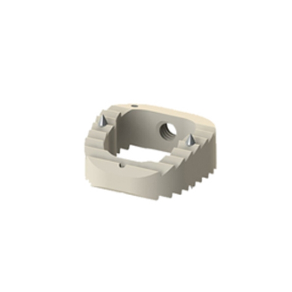 Lumbar PEEK Cage