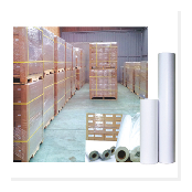 Transfer Paper