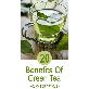 detail image2 Patent Application -  Far Infrared Extract - Fermentation Methods MORINGA Tea