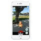 full image Screen Protector with Pokemon GO Game Helper