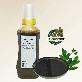 full image Twice Daily, wormwood grain syrup