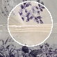 detail image4 May Rose