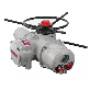 detail image1 Multi Turn Electric Actuator