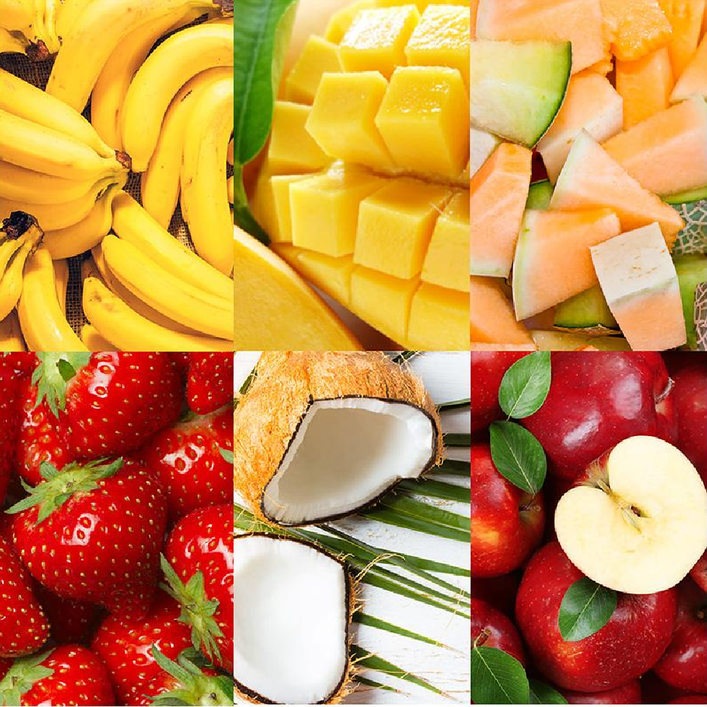 GeckoFoody FRUIT