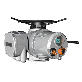 detail image1 Electric Actuators
