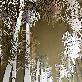 full image N·GEL® 3D NANO PATTERN FILM