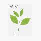 detail image4 Sticky Leaf - Birch