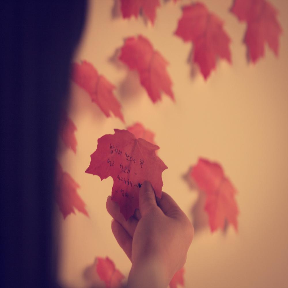 Sticky Leaf - Maple