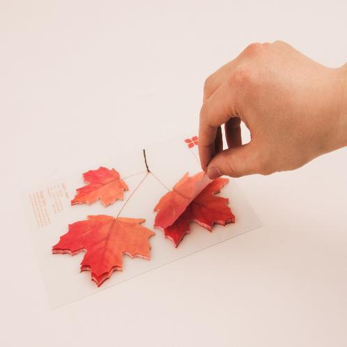 Sticky Leaf - Maple