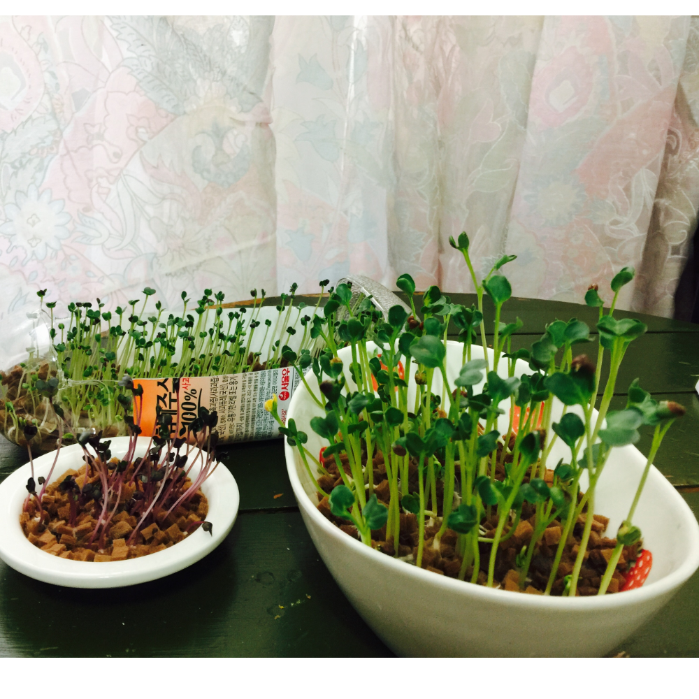 Fiber Soil