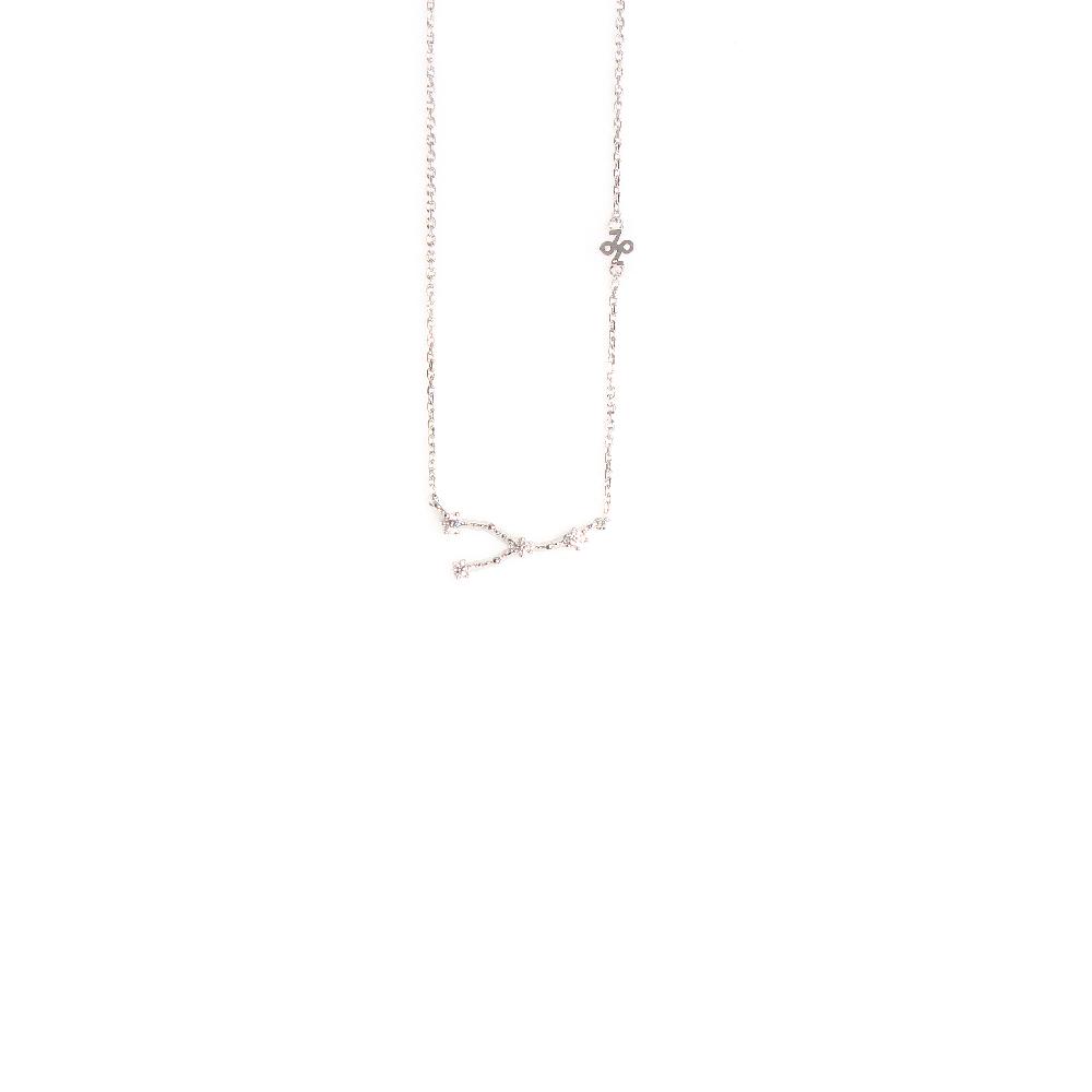 Zenaluce Silver Zodiac necklace
