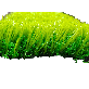 detail image2 KBLEPH