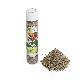 full image Saltrainbow Herb