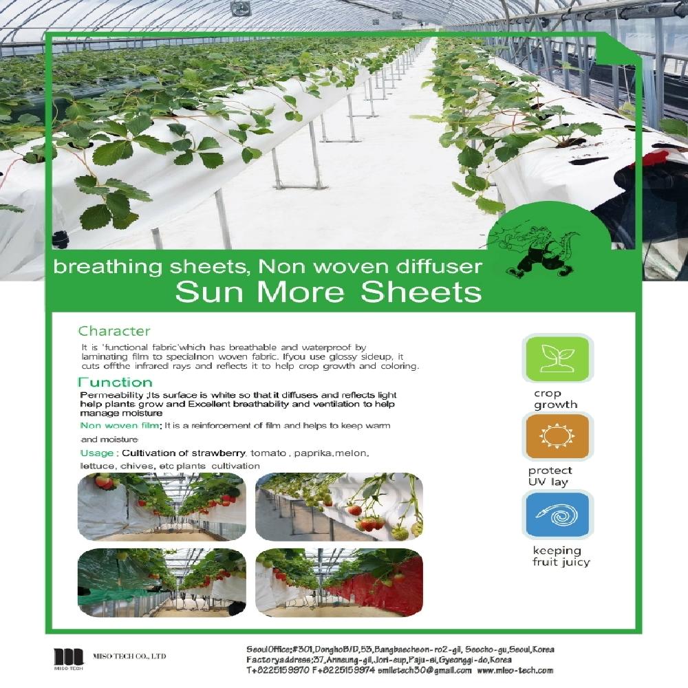MISO TECH CO., LTD