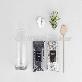 detail image5 Vintage Glass Cup Tillandsia Air Plants DIY Set " Black & White" Joinflower