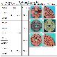 full image Wet Polishing Pad