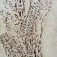 detail image4 Draw the forest