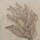 Draw the forest