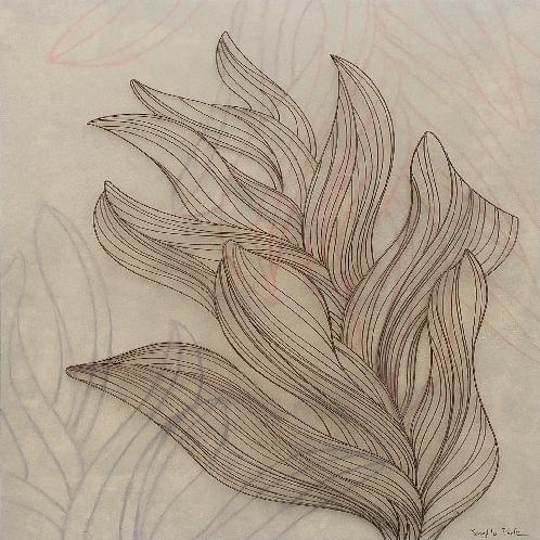 Draw the forest