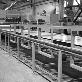 full image FR Aluminum Composite Panel Line