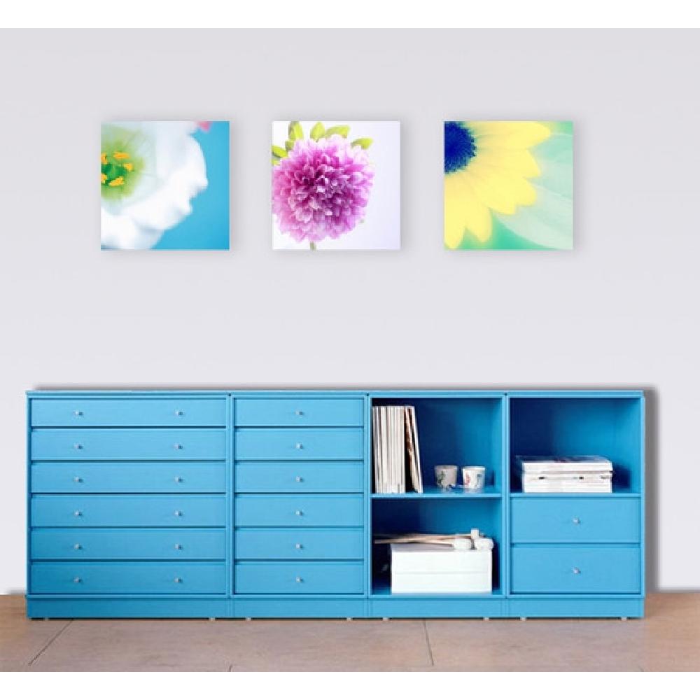 Canvas Art