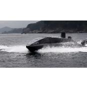 SDV 1000W