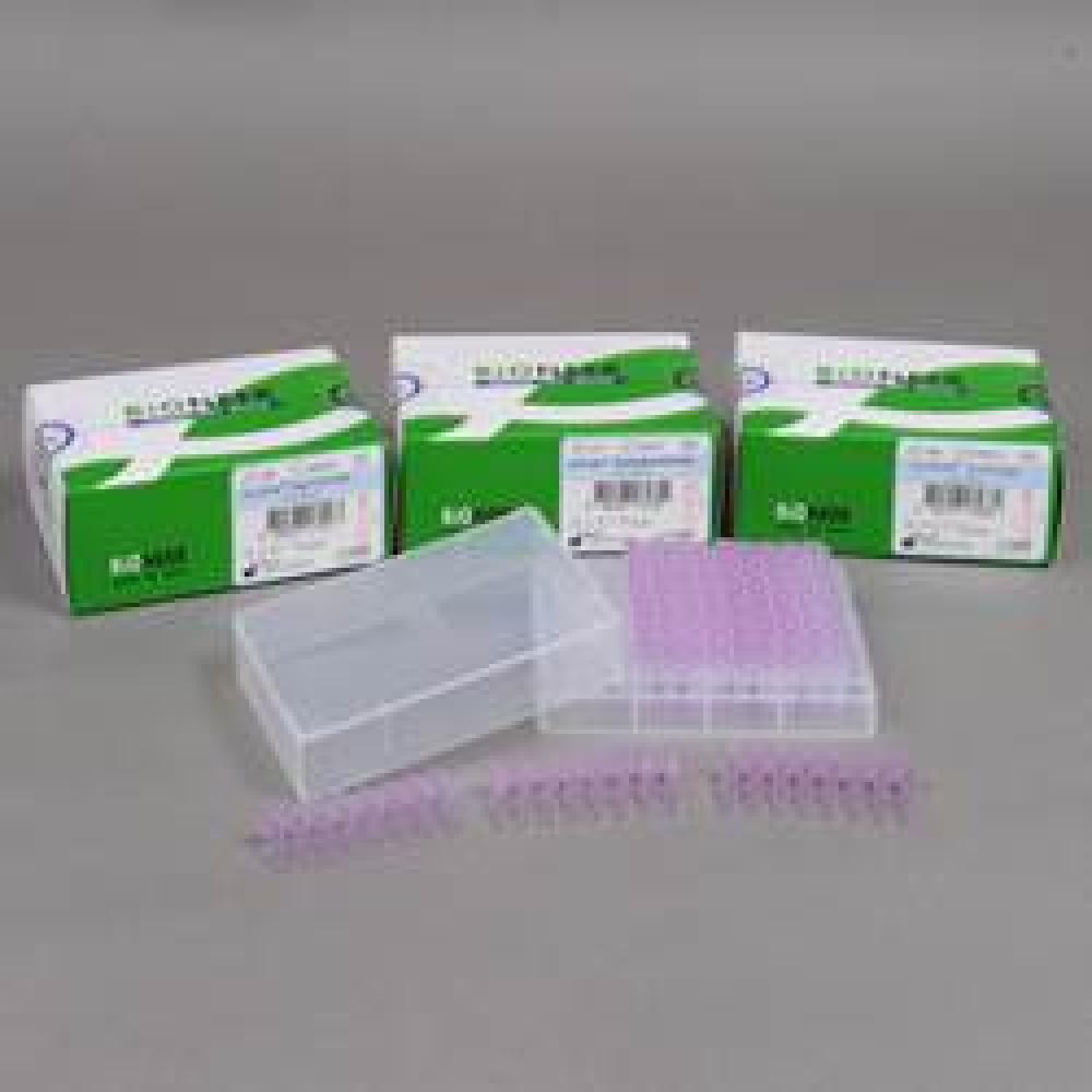  DNA/RNA amplification AccuPowerⓇ 
