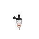 full image LPG CNG injector for passenger car (H2000)