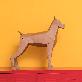 full image Dobermann Pinscher