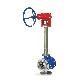 detail image3 V-BALL VALVE