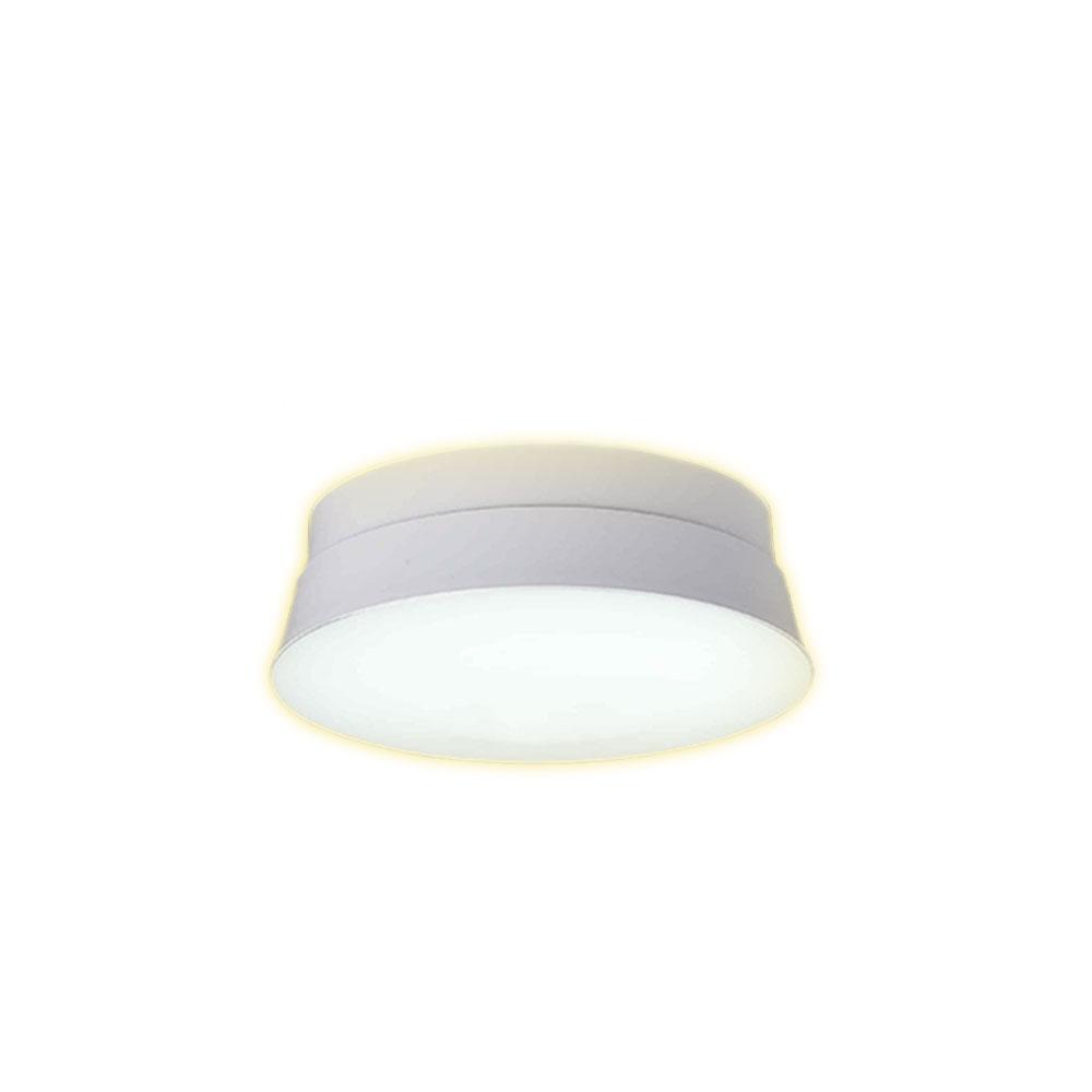 DAYTIME CONCH SECL-L094