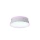 full image DAYTIME CONCH SECL-L094