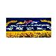 detail image1 WTF World TaeKwonDo Federation Evaluation Table Cloth