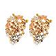 detail image1 [Humming*J] Grape vine earrings
