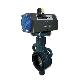 detail image2 DOW Valve Korea, Cast iron body, EPDM seat, Wafer type,  Butterfly Valve, Manual operating