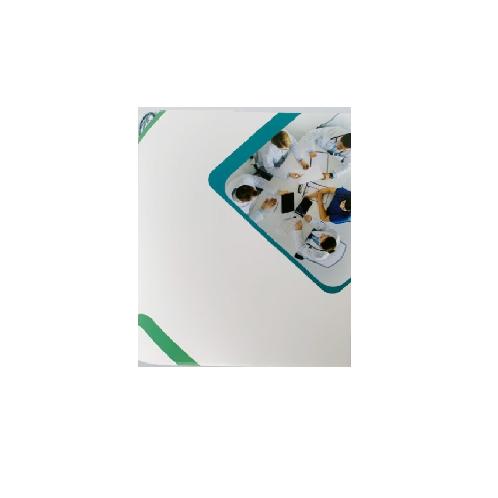 PILGRIMTRADE Discharge Folders Hospital 2 Pockets Generic V2 Medical Poly Document Folders 2 Pockets | folders, discharge, Polypropylene, pockets, practical, light, durable, flexible, medical, field, professional