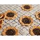 detail image1 Sunflower Coaster