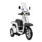 detail image2 Electric Scooter EM3X