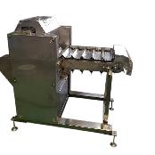 fish head cutter