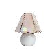 full image Little mushroom