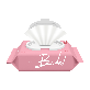 detail image1 Oldam Flushable Bidet Original Wet Wipes