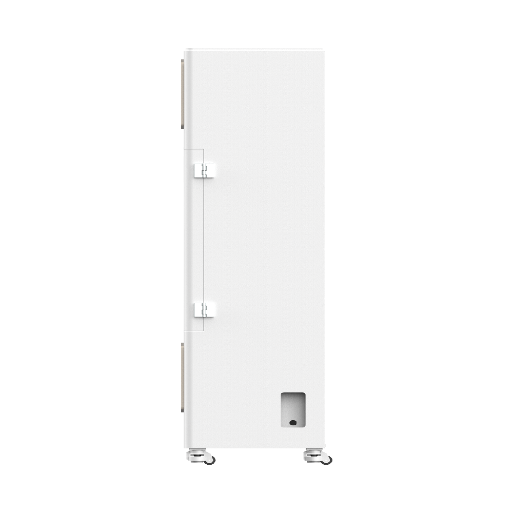 Toxic Gas Purification System (S02D)