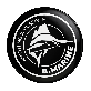 full image S-tube Manual Inflator Buoy