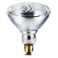 full image JK HEAT PLUS 175W PAR38 Clear Infrared Heat Bulb Hard Glass 10pcs 110-120V