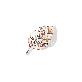 full image Blooming silver brooch