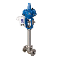 detail image1 Control Globe Valve