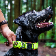 detail image1 The Comfort Collar, Soft Cowhide Padded Dog Collar for All Breeds, Reflective Velcro Patch